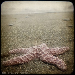 Humbug Mt Beach 2 ©2011 Jessica Rogers Photography