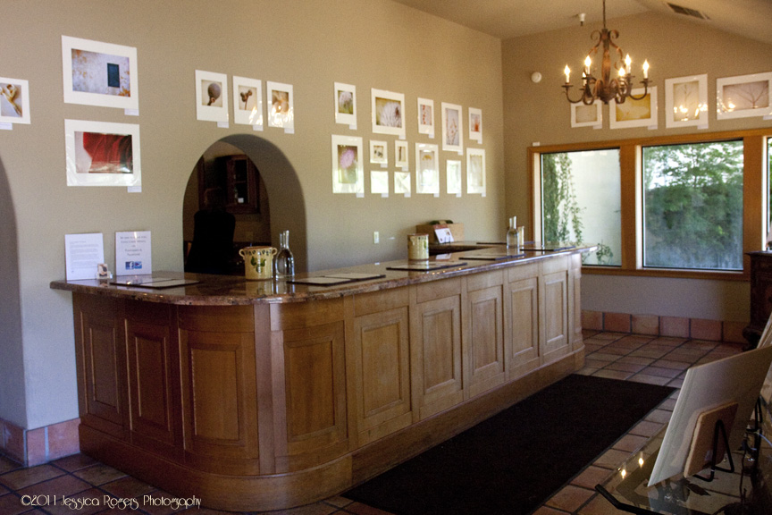 Conn Artist Series Show