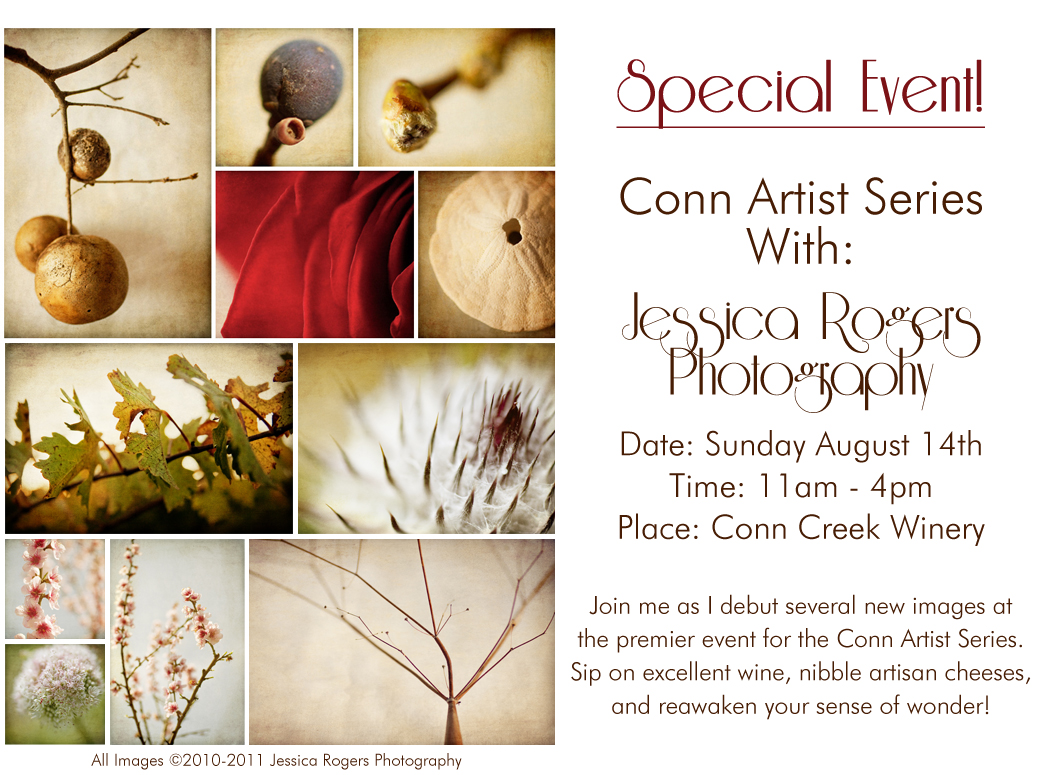 Upcoming Show: August 14th, 2011