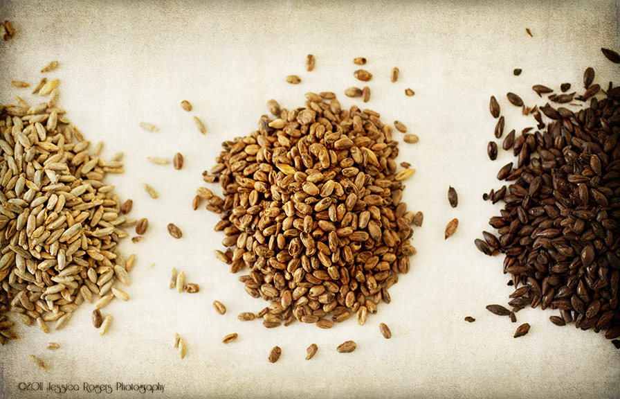 Malt Varieties: Rye, Wheat, Black ©2011 Jessica Rogers Photography