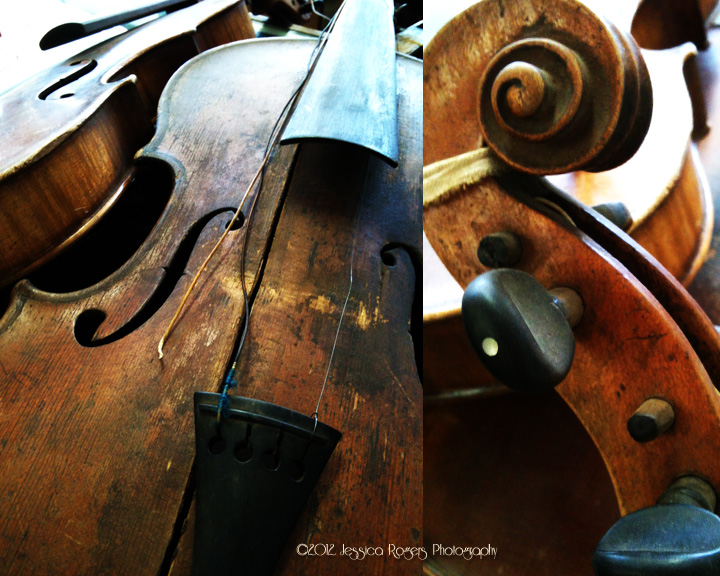 Fiddle Me This ©2012 Jessica Rogers Photography Fiddle Me This ©2012 Jessica Rogers Photography