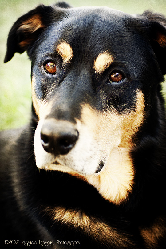 Photo of the Week, Year 3, Week 33