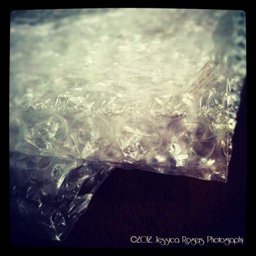 Photo of the Week, Year 3, Week 35