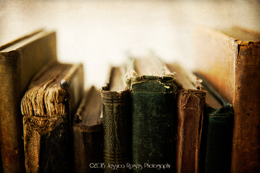 Photo of the Week, Year 3, Week 50