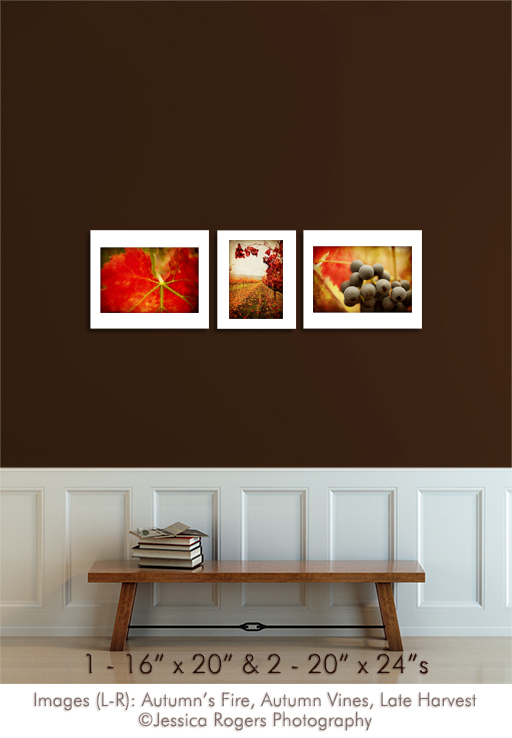 1-16x20 and 2-20x24s  Images ©Jessica Rogers Photography