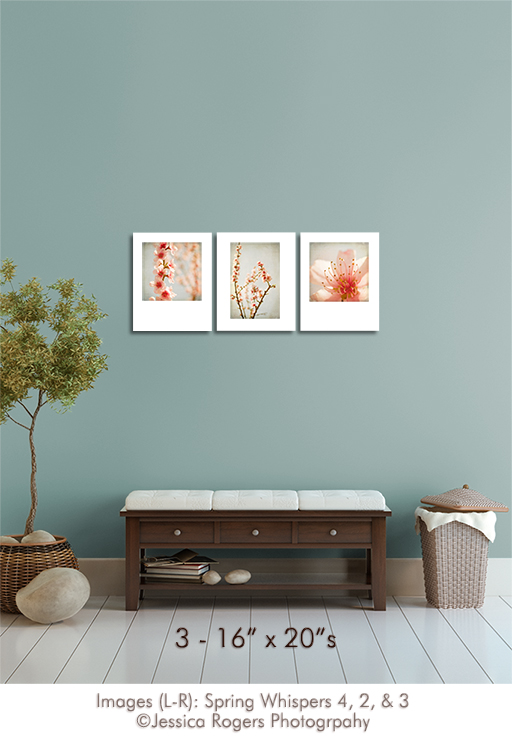 3-16x20s Images ©Jessica Rogers Photography