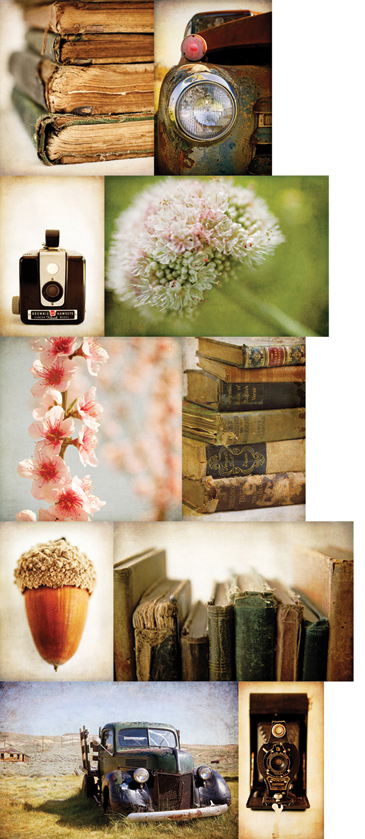 2015 Roost Trunk Show Promo Images