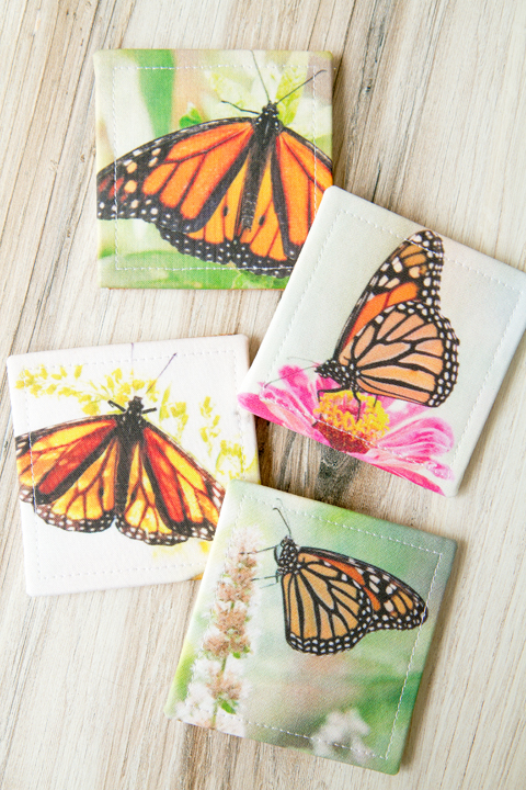 Monarch Butterflies Coaster Set by A Sense Of Wonder Studio