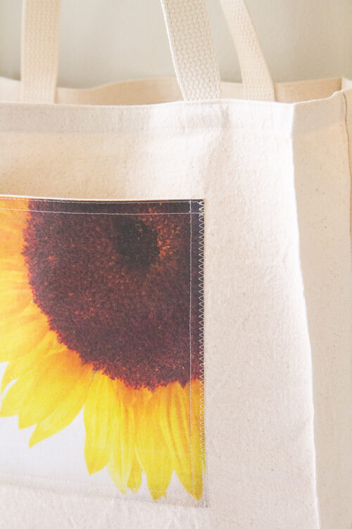 Sunflower 6